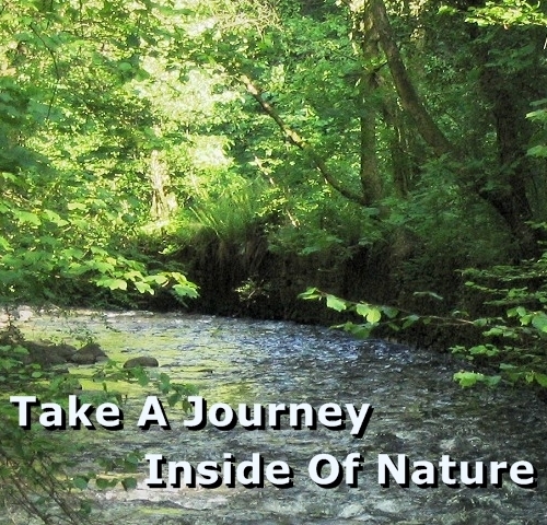 Product picture Take A Journey Inside Of Nature